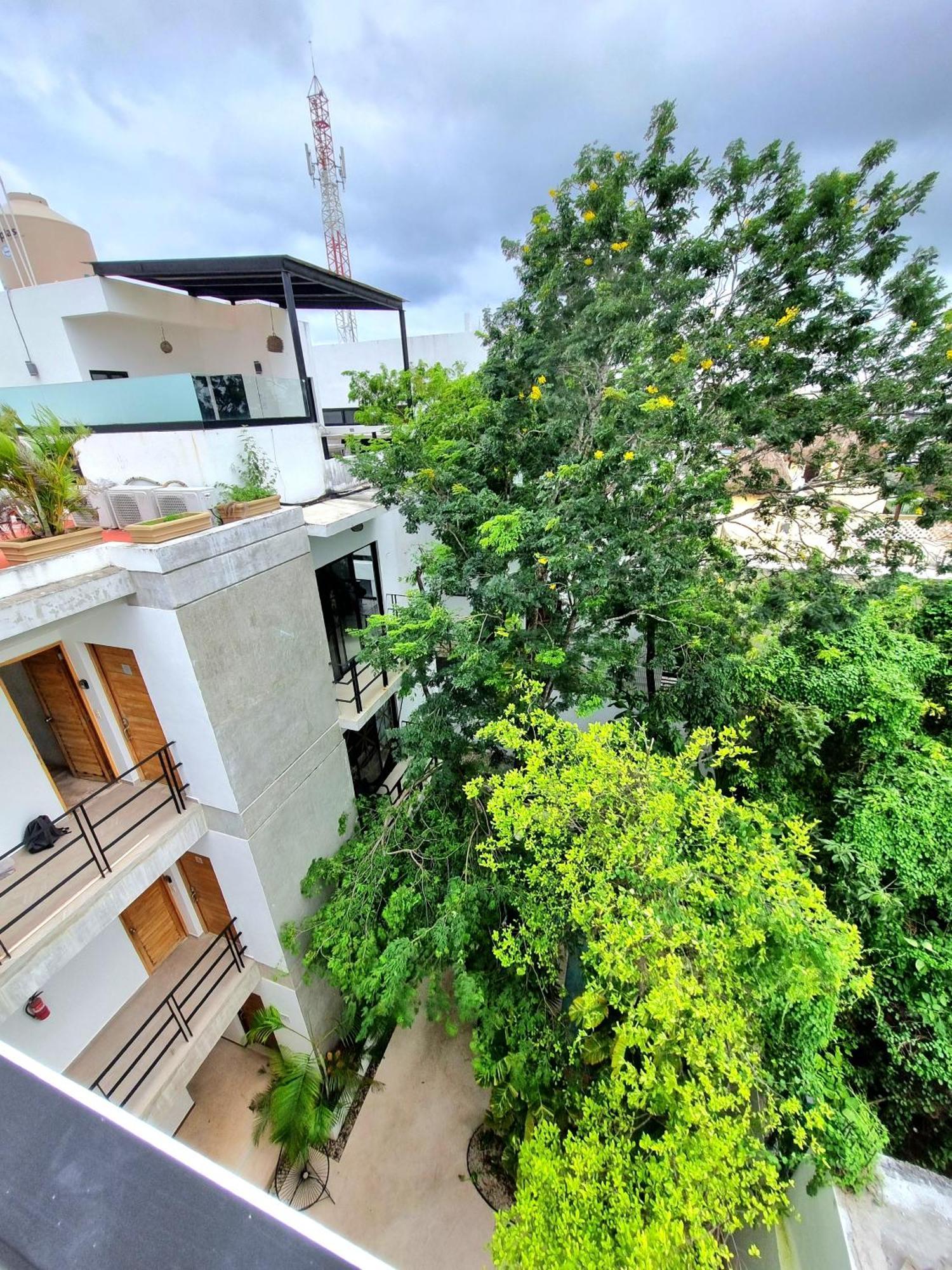 Mi Tulum Aparthotel Rum bild
